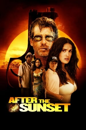 After The Sunset (2004) Hindi Dual Audio 320MB