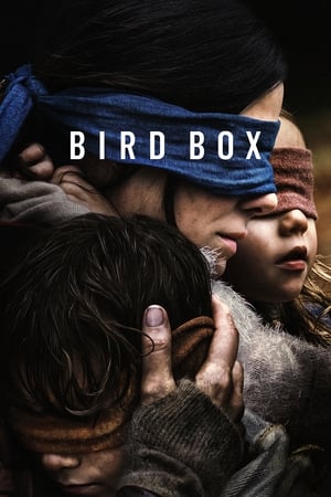 Bird Box 2018 Hindi (HQ DUBBED) Dual Audio WehRip [1.1GB] HD Poster Download - filmyfly