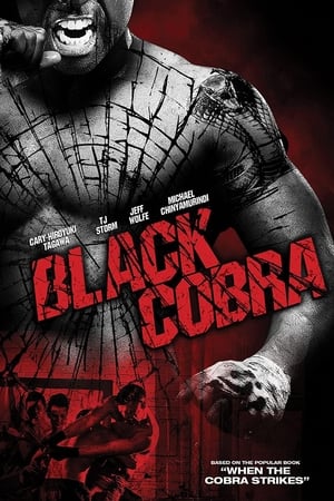 Black Cobra (2012) Hindi Dual Audio [830MB]