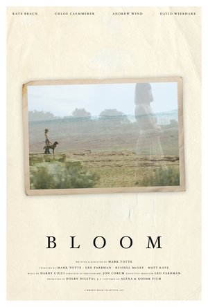 Bloom (2024) Hindi (MULTI AUDIO) – – HD Poster Download - filmyfly