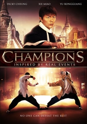 Champions (2008) Hindi Dual Audio 380MB HD Poster Download - filmyfly