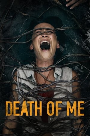 Death of Me (2020) Hindi Dual Audio 300MB HD Poster Download - filmyfly