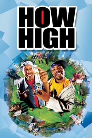 How High (2001) Hindi Dual Audio 300MB HD Poster Download - filmyfly
