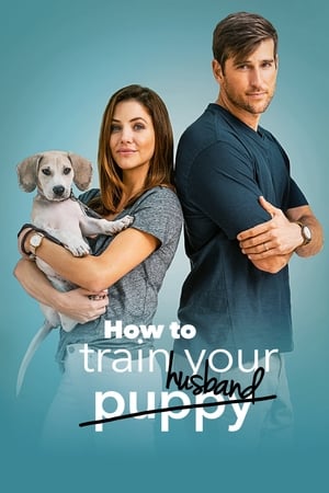 How to Train Your Husband 2018 Hindi Dual Audio 300MB HD Poster Download - filmyfly