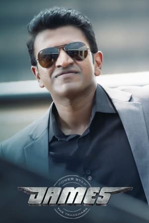 James (2022) Hindi Movie – HD Poster Download - filmyfly