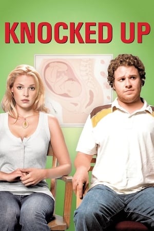 Knocked Up (2007) Hindi Dual Audio [1GB] HD Poster Download - filmyfly