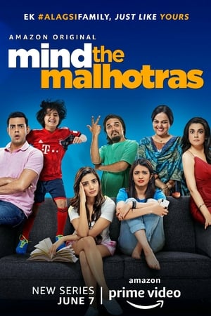 Mind the Malhotras (2019) Season 1 Hindi Web Series[Complete] HD Poster Download - filmyfly