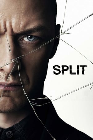 Split (2016) Hindi Dual Audio [1GB] HD Poster Download - filmyfly