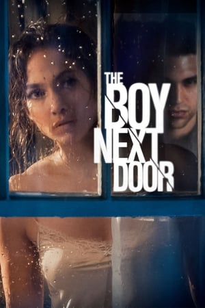 The Boy Next Door 2015 Hindi Dual Audio 300MB HD Poster Download - filmyfly