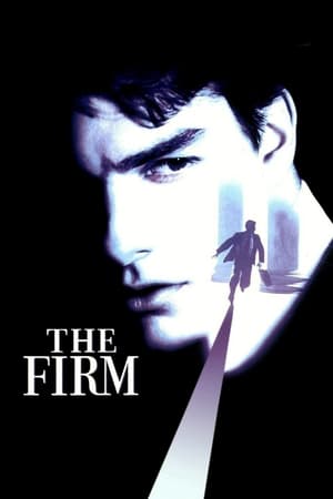 The Firm (1993) Hindi Dual Audio [980MB] HD Poster Download - filmyfly