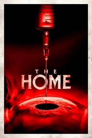 The Home (2025) Hindi (MULTI AUDIO) – – HD Poster Download - filmyfly