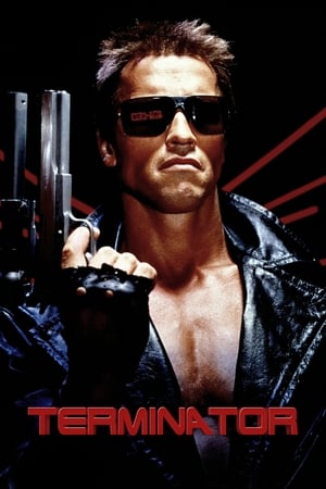 The Terminator (1984) Hindi Dual Audio [800MB] HD Poster Download - filmyfly