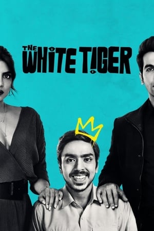 The White Tiger (2021) Hindi Movie – [370MB] HD Poster Download - filmyfly