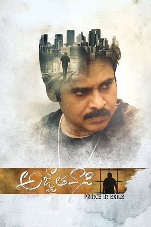Yevadu 3 (Agnyaathavaasi) 2018 Dual Audio Hindi 450MB HD Poster Download - filmyfly